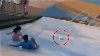 獨／屁孩帶幼兔溜滑梯　影片全網暴怒