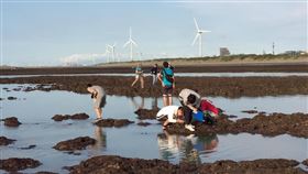 （圖／翻攝自「珍愛桃園藻礁」臉書）