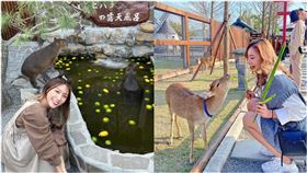 張美阿嬤農場，IG網友授權提供