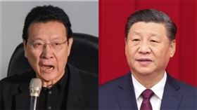 趙少康、習近平（組合圖／資料照、翻攝自新華社）