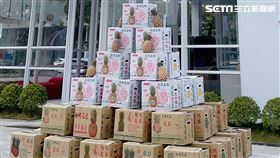 業者推出看屋送鳳梨活動。（圖／創意家提供）