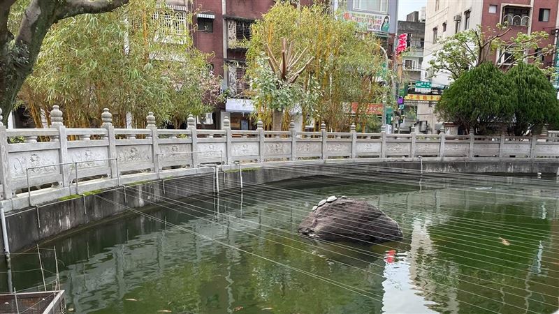 廟前池塘綁細線幹嘛用？很多人不知道