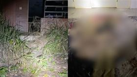 廢墟,直播主,探險,台南