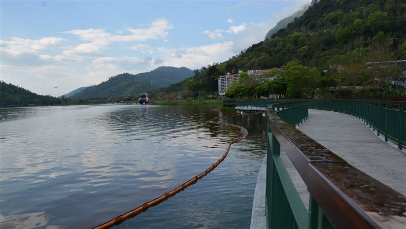 花蓮鯉魚潭漂大量懸浮物　原因曝光