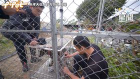 朱孝天合體台客劇場，一起體驗ＴＮＲ的誘捕過程。