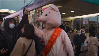 野生粉紅豬街上擊掌　竟是大咖天王