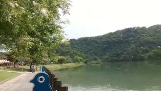 宜蘭梅花湖畔水柳花開　如三月雪紛飛