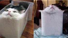 ▲（圖／台灣赫斯特ELLE提供 )
