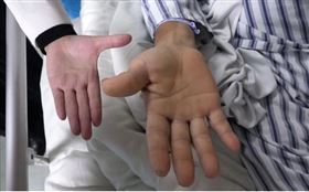 （圖／翻攝自網易新聞）