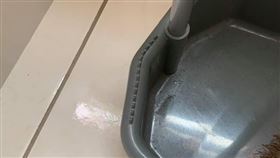 爆系知識家／為啥畚斗上面有「鉅齒狀」？網揭1功能爛爆：括腳底板很好用。（圖／翻攝自爆系知識家）