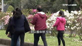 獨／台北公園NG事　這些行為恐挨罰
