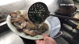 文蛤偏鹹難開口　業者曝美味烹飪秘訣