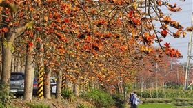 名家專用／台灣旅行趣（勿用）