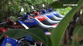 文 沙灘車違法1200