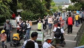 台北市觀傳局表示，清明連假將重新上架旅遊警示燈號，且正在規劃新版人工智慧燈號，最快6月上線。圖為二二八連假台北市立動物園人潮。（中央社檔案照片）