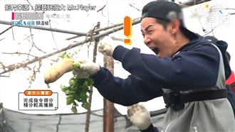 夏和熙尖叫抓鵝　毀在《全明星》形象