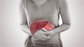 肝臟,脂肪肝,肝癌（圖／翻攝自pixabay）