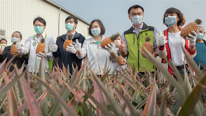 蔡政府拆彈鳳梨危機　外媒驚曝1真相