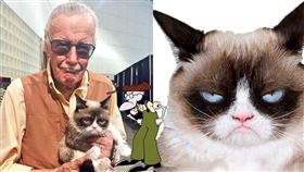 名家專用／ELLE（勿用）