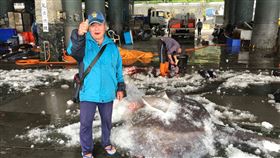 花蓮石梯坪鏢401公斤曼波魚  價錢好船長樂台灣東部海域因為有黑潮洋流經過，成為曼波魚主要洄游路線，每年3至5月是盛產期；「金年財」號漁船北上花蓮石梯坪一帶鏢曼波魚，7日鏢得一尾401公斤超大曼波魚，並順利拍賣出新台幣4萬元好價錢。船長黃金山開心比讚。（成功鎮愛鄉協會提供）中央社記者李先鳳傳真  110年3月9日