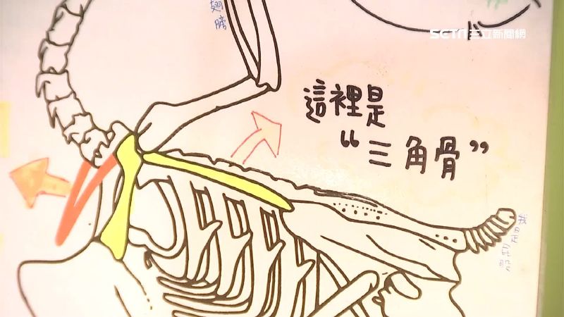 鹹酥雞攤「圖解雞骨頭」　老闆現身了