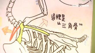 鹹酥雞攤「圖解雞骨頭」　老闆現身了