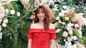 許孟哲,趙孟姿,5566,孫協志,王仁甫,小刀,季芹,楊晨熙,張文綺,賈永婕。（記者楊澍攝影