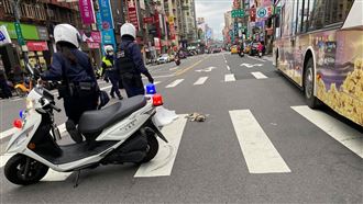 浪貓遭輾痛苦掙扎　暖警擋道急送醫