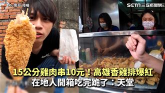 高雄爆紅雞排　15公分雞肉串10元