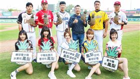 ▲中華職棒挺台灣鳳梨。（圖／中華職棒提供）