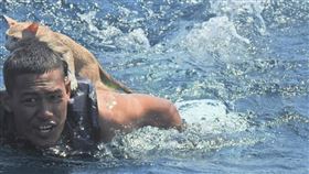 小貓困下沉船艙！泰國海軍勇跳下海救援　當「人肉救生艇」（圖／翻攝自泰國海軍官方臉書）