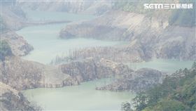 56年最嚴重旱災！德基水庫蓄水量再降　驚現「水底枯林」（圖／小草工作室授權提供）