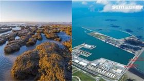 藻礁，台北港（組合圖）