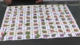 彰化收購荔枝樁象產卵葉片，一片5元收購，獎金，芬園鄉冠軍。(圖／翻攝畫面)