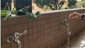 水情吃緊，台中市政府教育局要求各校落實節水措施，校園進行用水分流，有學校在水龍頭加裝節水器，用水量明顯減少。（民眾提供）中央社記者趙麗妍傳真 110年3月10日