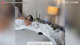 爸帶3貓躺床敷臉　媽崩潰拉走遭狠咬