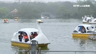 復甦觀光業　桃園自由行每晚補助千元