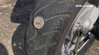 補到手軟　「地界釘」害居民狂破胎