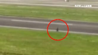 老翁亂入松山機場　單車騎上飛機跑道