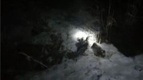 ▲哈爾濱民警救治站在路旁的貓頭鷹。（圖／翻攝自哈爾濱公安）