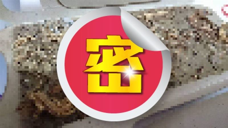 大掃除見「考古現場」網驚：侏儸紀？