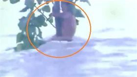 大陸,洪水,抱樹,女孩,警察,江珊（圖／翻攝央視網）