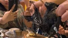 帛琉,部落客孟孟提供