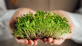 名家專用／網路溫度計（勿用）