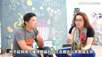 綠鬣蜥遭炸死！愛蜥人士：移除≠虐殺