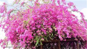 名家專用／台灣旅行趣（勿用）