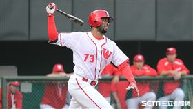 ▲味全龍洋砲赫雷拉。（圖／記者劉彥池攝影）