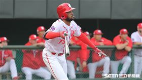 ▲味全龍洋砲赫雷拉。（圖／記者劉彥池攝影）