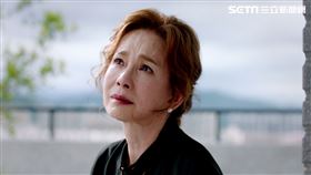 郭書瑤,劉品言,未來媽媽,禾浩辰,夏騰宏,李至正,張寗,周丹薇