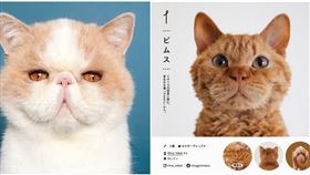 ▲（圖 / 翻攝自台灣赫斯特）
